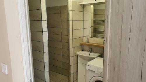 Koupelna v ubytování Peter's Apartman Pápa
