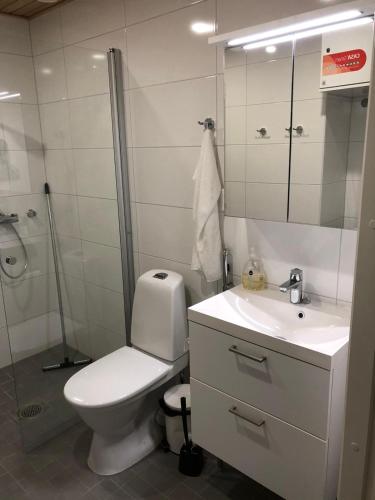 uma casa de banho com um WC, um lavatório e um chuveiro em Niittylä Apartments em Rovaniemi