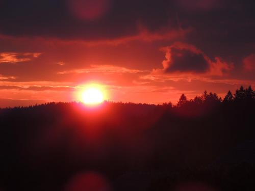 a sunset in the woods with the sun setting at FW Zauberblick in Zwiesel