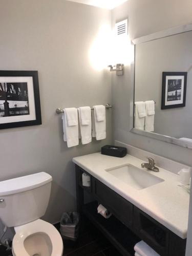 a bathroom with a toilet and a sink and a mirror at Holiday Inn Lafayette North by IHG in Lafayette