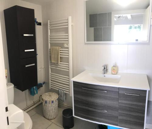 une salle de bain avec un lavabo et des toilettes dans l'établissement Gîtes tout confort Saujon, à Saujon