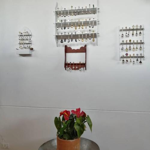 a plant sitting on a table in a room at La Estancia Hotel Boutique in Salamina