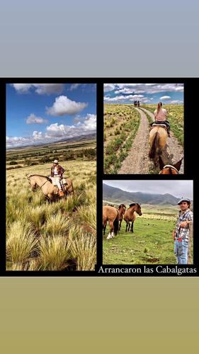 Casa Los Coirones – Photos 4