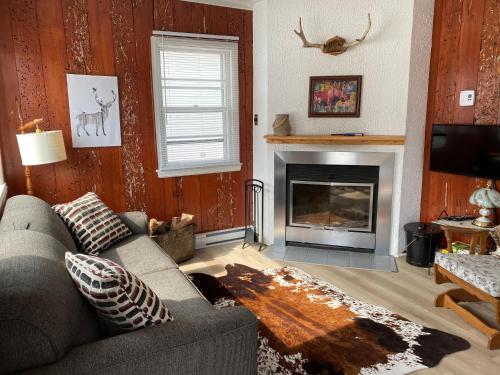 Posezení v ubytování Chalet memphrémagog - 203
