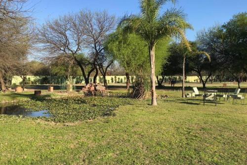 un parque con una palmera y un estanque en Reserva Natural RG en Santiago del Estero