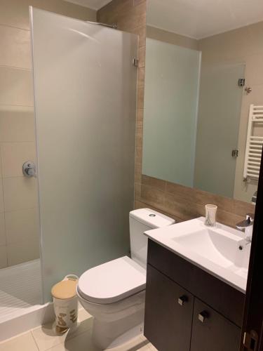 La salle de bains est pourvue de toilettes, d'un lavabo et d'un miroir. dans l'établissement Pucon Parque Pinares (playa privada), à Pucón