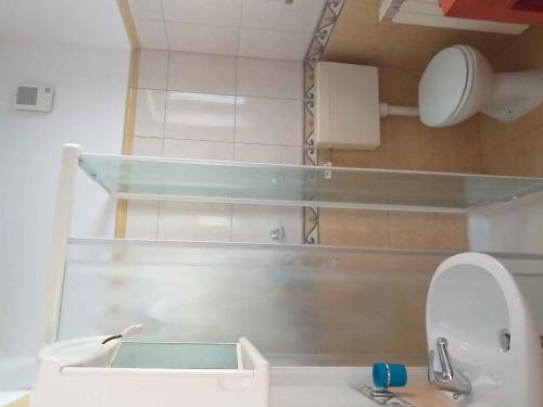 W łazience znajduje się umywalka oraz toaleta z lustrem. w obiekcie Holiday home in Rovinj - Istrien 11494 w Rovinj