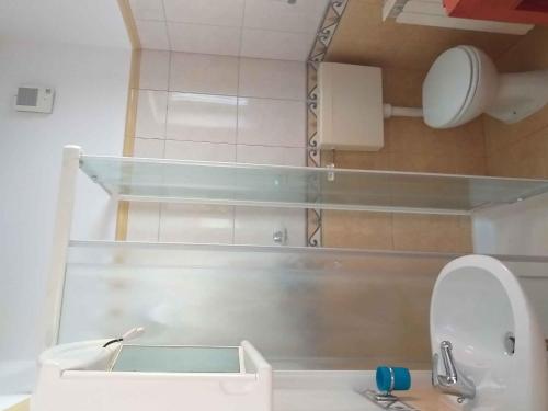 ein Bad mit einem Waschbecken und einem WC mit einem Spiegel in der Unterkunft Holiday home in Rovinj/Istrien 11494 in Kokuletovica