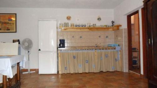 a kitchen with a white refrigerator and a counter at Holiday home in Rovinj/Istrien 11523 in Kokuletovica