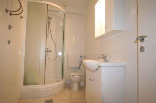 a bathroom with a shower and a toilet and a sink at Apartment in Silo with One-Bedroom 10 in Šilo