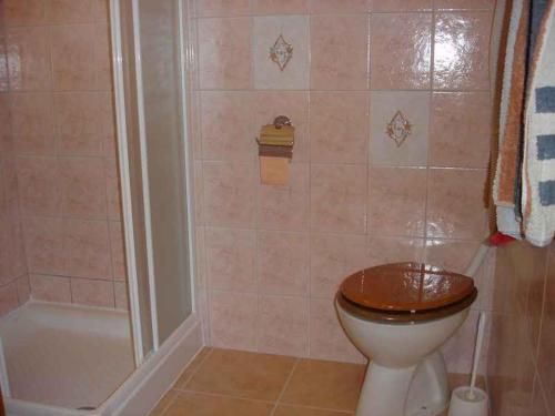 a bathroom with a toilet and a shower at Apartment in Silo/Insel Krk 14461 in Šilo