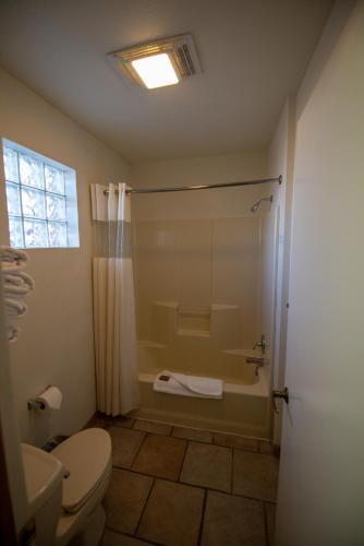 a bathroom with a shower and a toilet and a sink at Reeds Lodge in Springerville