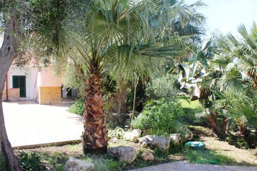 Gallery image of Green Garden Eco-Holiday in Vieste