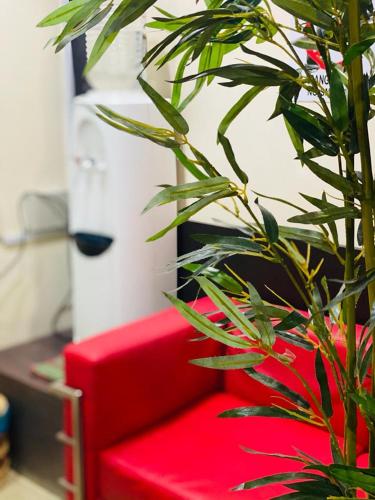 a red couch next to a green plant next to aumedumedumedumedumed at Ct Hotel in Sitiawan