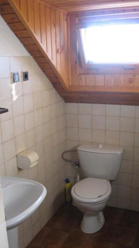 a bathroom with a toilet and a sink at Penzion Važec in Važec