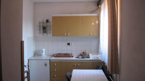 Kjøkken eller kjøkkenkrok på Penzion Važec