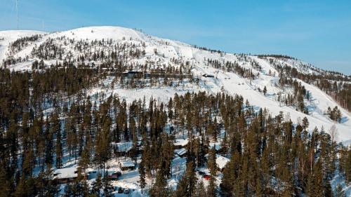a mountain covered in snow with trees on it at Ski-inn kelohuoneisto Pyhätunturissa in Pelkosenniemi