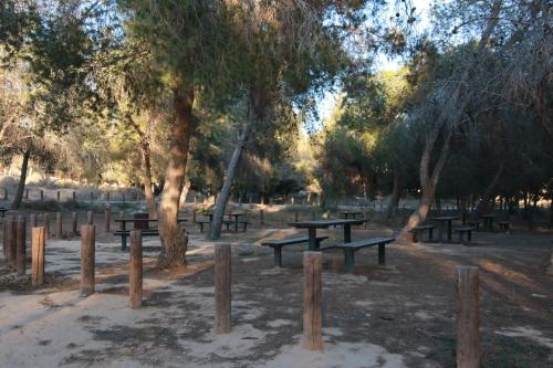 a group of picnic tables in a park with trees at עדן במדבר - eden in desert in Yeroẖam