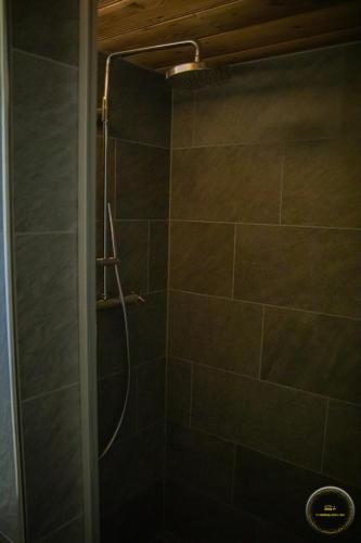 a shower with a shower head in a bathroom at Ferienwohnungen Haus Alte Bäckerei in Randa