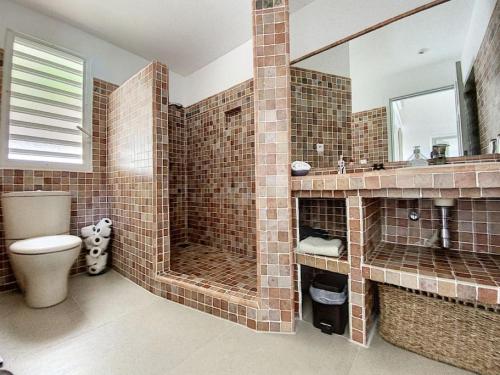 bagno con servizi igienici, lavandino e specchio di Villa Casa Sand, luxury, 5 min walk from Anse Marcel beach ad Anse Marcel