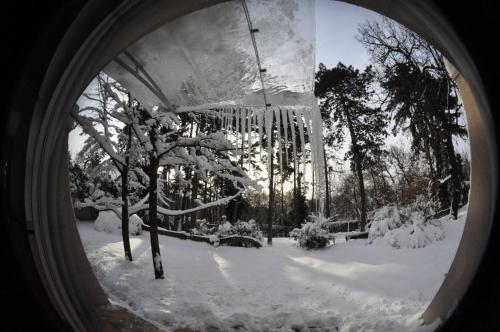a tree with icicles hanging from it in the snow at Private Wellness Apartment in Pécs