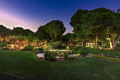 En have udenfor Regnum Carya
