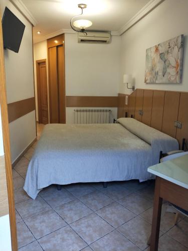 a bedroom with a large bed in a room at Hostal Maria Ronda in Madrid