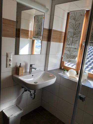 een badkamer met een wastafel en een spiegel bij Fischerhof in Fahrenzhausen