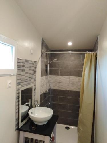 une salle de bain avec un lavabo et une douche dans l'établissement Le chalet du Bord de l'eau, à Sainte-Terre