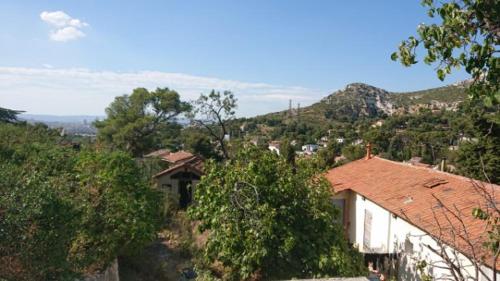 Petit studio parmi les pins et les cypres