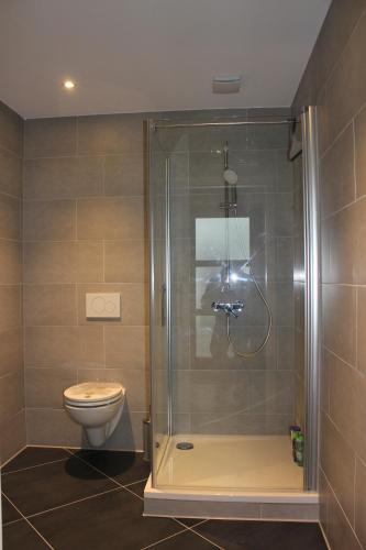 a bathroom with a shower and a toilet at BLUE SKY-Suite in Fellbach