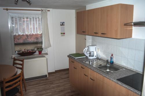 a kitchen with a sink and a counter top at Pension Muldental Großbothen in Grimma