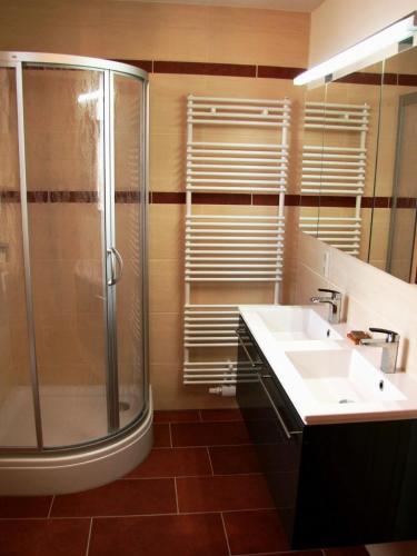 a bathroom with a shower and a sink at Ferienwohnung Zum Karzl in Sehmatal