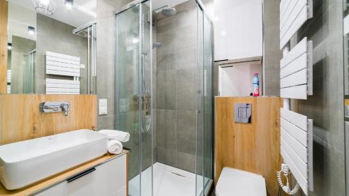 a bathroom with a shower and a sink and a toilet at Apartamenty EverySky - Nad Łomnicą 1E-2B in Karpacz