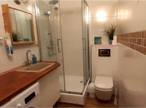 een badkamer met een douche, een toilet en een wastafel bij Lemuria Hostel Szkolna centrum in Legnica
