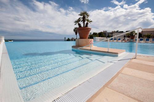 une piscine avec un palmier au milieu dans l'établissement La Perle de Théoule - Welkeys, à Cannes