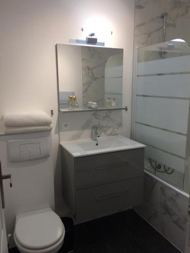 une salle de bain avec un lavabo, des toilettes et un miroir dans l'établissement Appartement Alpin à 200m des pistes pour 6, à Val Louron