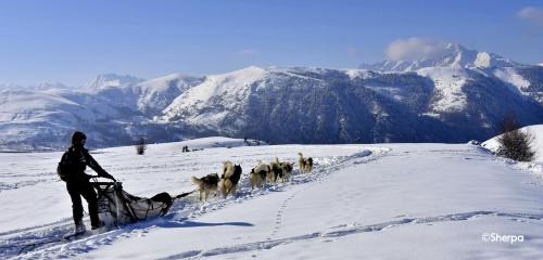 a man pulling a team of dogs in the snow at Appartement Alpin à 200m des pistes pour 6 in Val Louron