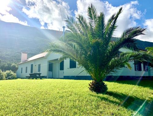 a palm tree in front of a building at Ninho das Cagarras in Santo Amaro