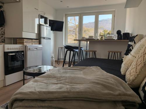 une cuisine et un salon avec un canapé et une table dans l'établissement Le cocon, à Guebwiller