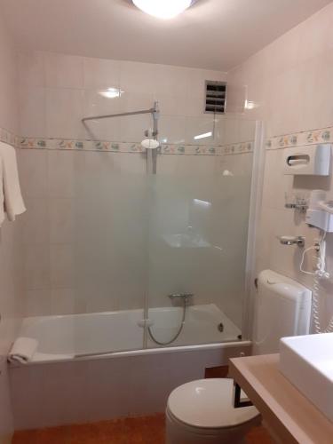 a bathroom with a shower and a toilet and a sink at Pension Hirlatz in Hallstatt