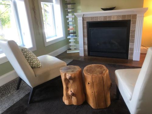 a living room with a fireplace and two logsitures at Suites at 249 in Culpeper