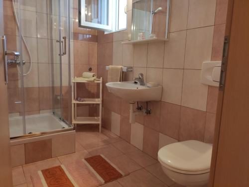 a bathroom with a toilet and a sink and a shower at Apartment in Lopar with Terrace, Air conditioning, Wi-Fi, Washing machine (4619-1) in Lopar