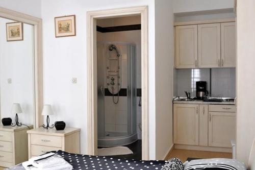 Koupelna v ubytování STUDIOAPARTMENT IUSAS-123-12