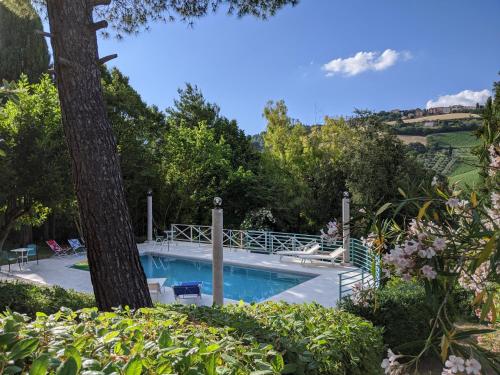 - une piscine dans une cour avec un arbre dans l'établissement Italian Experience-Villa Millefiori, à Porto San Giorgio