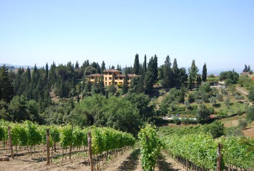 Tenuta la Cipresseta – Photos 4