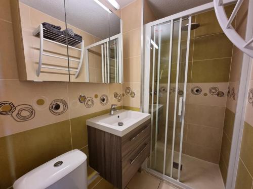 a bathroom with a shower and a sink and a toilet at Appartement VUE MER TERRASSE CLIM WIFI in Banyuls-sur-Mer