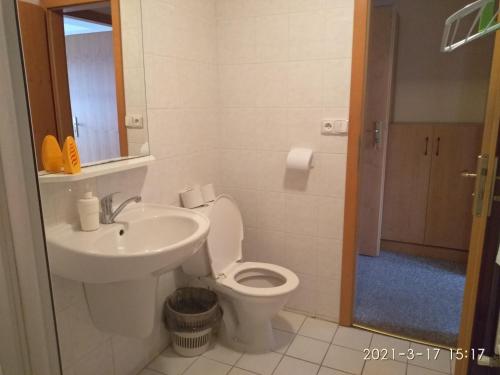 ein Bad mit einem WC und einem Waschbecken in der Unterkunft Hotel Kralicek in Turnov