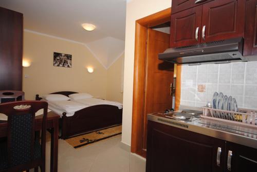 een kamer met een keuken en een slaapkamer met een bed bij Villa Ana in Gornja Trepča