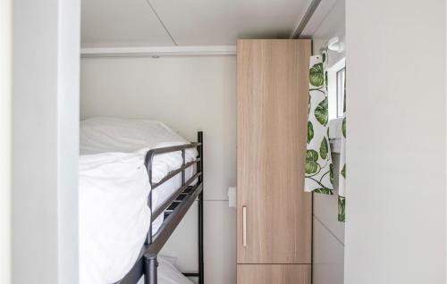 Bunk bed o mga bunk bed sa kuwarto sa Gorgeous Ship In Biddinghuizen With Wifi